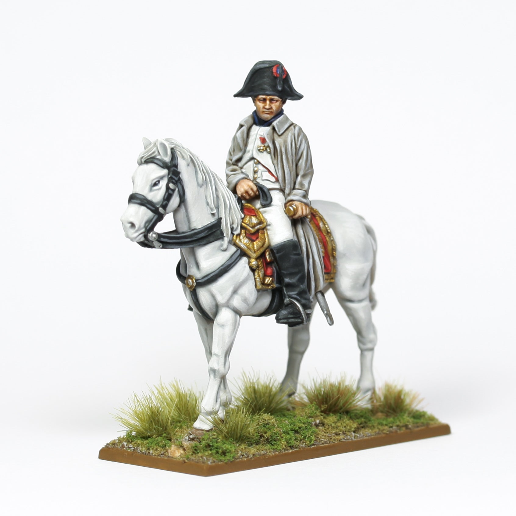 Wurttemberg Cavalry Napoleonic x 12 mounted figures