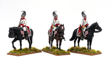 Load image into Gallery viewer, Baden Garde du Corps
